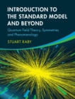 Introduction to the Standard Model and Beyond : Quantum Field Theory, Symmetries and Phenomenology - Book
