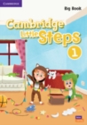 Cambridge Little Steps Level 1 Big Book - Book