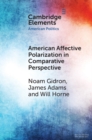 American Affective Polarization in Comparative Perspective - Book