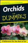 Orchids For Dummies - eBook