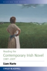 Reading the Contemporary Irish Novel 1987 - 2007 - eBook
