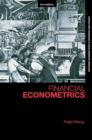 Financial Econometrics - eBook