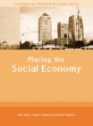 Placing the Social Economy - eBook