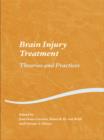 Brain Injury Treatment : Theories and Practices - eBook