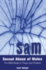 Sexual Abuse of Males : The SAM Model of Theory and Practice - eBook