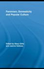 Feminism, Domesticity and Popular Culture - eBook