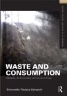 Waste and Consumption : Capitalism, the Environment, and the Life of Things - eBook