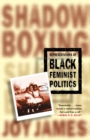 Shadowboxing : Representations of Black Feminist Politics - eBook