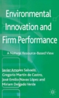 Environmental Innovation and Firm Performance : A Natural Resource-Based View - eBook