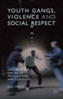 Youth Gangs, Violence and Social Respect : Exploring the Nature of Provocations and Punch-Ups - eBook