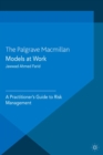 Models at Work : A Practitioner's Guide to Risk Management - eBook