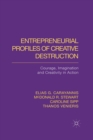 Entrepreneurial Profiles of Creative Destruction : Courage, Imagination and Creativity in Action - eBook