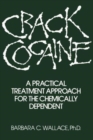 Crack Cocaine : A Practical Treatment Approach For The Chemically Dependent - Book
