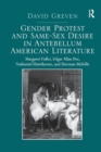 Gender Protest and Same-Sex Desire in Antebellum American Literature : Margaret Fuller, Edgar Allan Poe, Nathaniel Hawthorne, and Herman Melville - Book