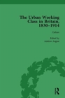 The Urban Working Class in Britain, 1830-1914 Vol 3 - Book
