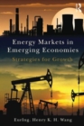 Energy Markets in Emerging Economies : Strategies for growth - Book