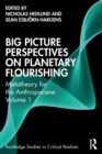 Big Picture Perspectives on Planetary Flourishing : Metatheory for the Anthropocene Volume 1 - Book