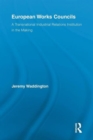 European Works Councils and Industrial Relations : A Transnational Industrial Relations Institution in the Making - Book
