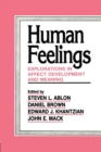 Human Feelings : Explorations in Affect Development and Meaning - Book