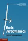 Basic Aerodynamics : Incompressible Flow - eBook