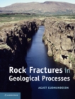 Rock Fractures in Geological Processes - eBook