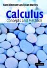 Calculus: Concepts and Methods - eBook