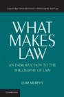What Makes Law : An Introduction to the Philosophy of Law - eBook
