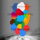 Infinite Detail : A Novel - eAudiobook