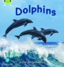 Bug Club Phonics - Phase 5 Unit 13: Dolphins - Book