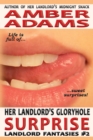 Her Landlord's Gloryhole Surprise (Landlord Fantasies #2) - eBook