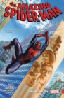 Amazing Spider-man: Worldwide Vol. 8 - Book