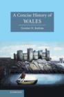 A Concise History of Wales - eBook
