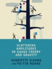 Scattering Amplitudes in Gauge Theory and Gravity - eBook