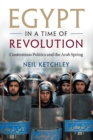 Egypt in a Time of Revolution : Contentious Politics and the Arab Spring - Book