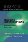 Reducing Intergroup Bias : The Common Ingroup Identity Model - eBook