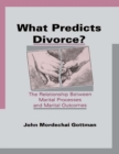 What Predicts Divorce? : The Relationship Between Marital Processes and Marital Outcomes - eBook