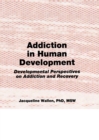 Addiction in Human Development : Developmental Perspectives on Addiction and Recovery - eBook