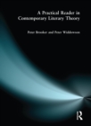 A Practical Reader in Contemporary Literary Theory - eBook