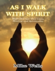 As I Walk With Spirit: Hypnotherapy, Past Lives, Healing and Spirituality - eBook