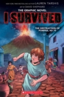 The Destruction of Pompeii, AD 79 - Book