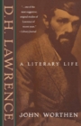 D.H. Lawrence : A Literary Life - eBook