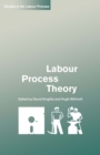 Labour Process Theory - eBook