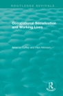 Occupational Socialization and Working Lives (1994) - eBook
