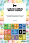 Irish Red Setter 20 Selfie Milestone Challenges Irish Red Setter Milestones for Memorable Moments, Socialization, Indoor & Outdoor Fun, Training Volume 3 - Book