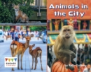 Animals in the City - eBook