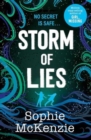 Storm of Lies - Book