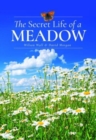The Secret Life of a Meadow - Book