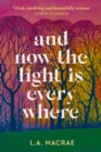 And Now the Light is Everywhere : A stunning debut novel of family secrets and redemption - eBook