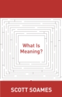 What Is Meaning? - eBook