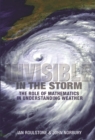 Invisible in the Storm : The Role of Mathematics in Understanding Weather - eBook